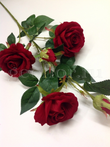 ������������� ����� , ������ , ��������� ����� , ������ .