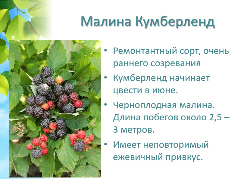 ���� �� 20.06. ��� �������� ������ �������� - ����� � ������� - ����. ��������� ����� ����� ������