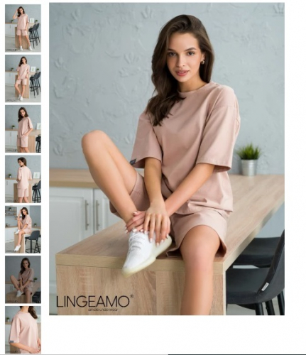 ����������� ��������� Lingeamo