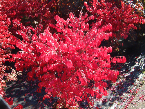 [b]���� �� 16.06.������������ ����������,��������. ��������� �� ����� 2023,[/b]