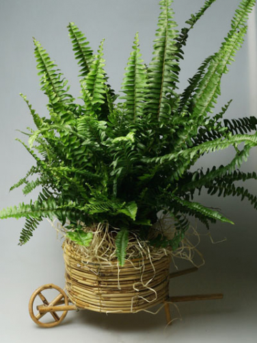 ���������� �����-�����