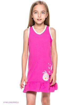 � ������� ������ �� 229 ���. �������, 92, 98, 110