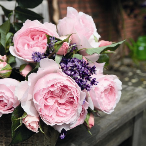 ���� �������. 27.06. �������� ��������� ��� ��������� � ��������. ���� T@nt@u. �������� ��������! ������� �� ��! ������ � ������ �0�������! ���������� �����������!