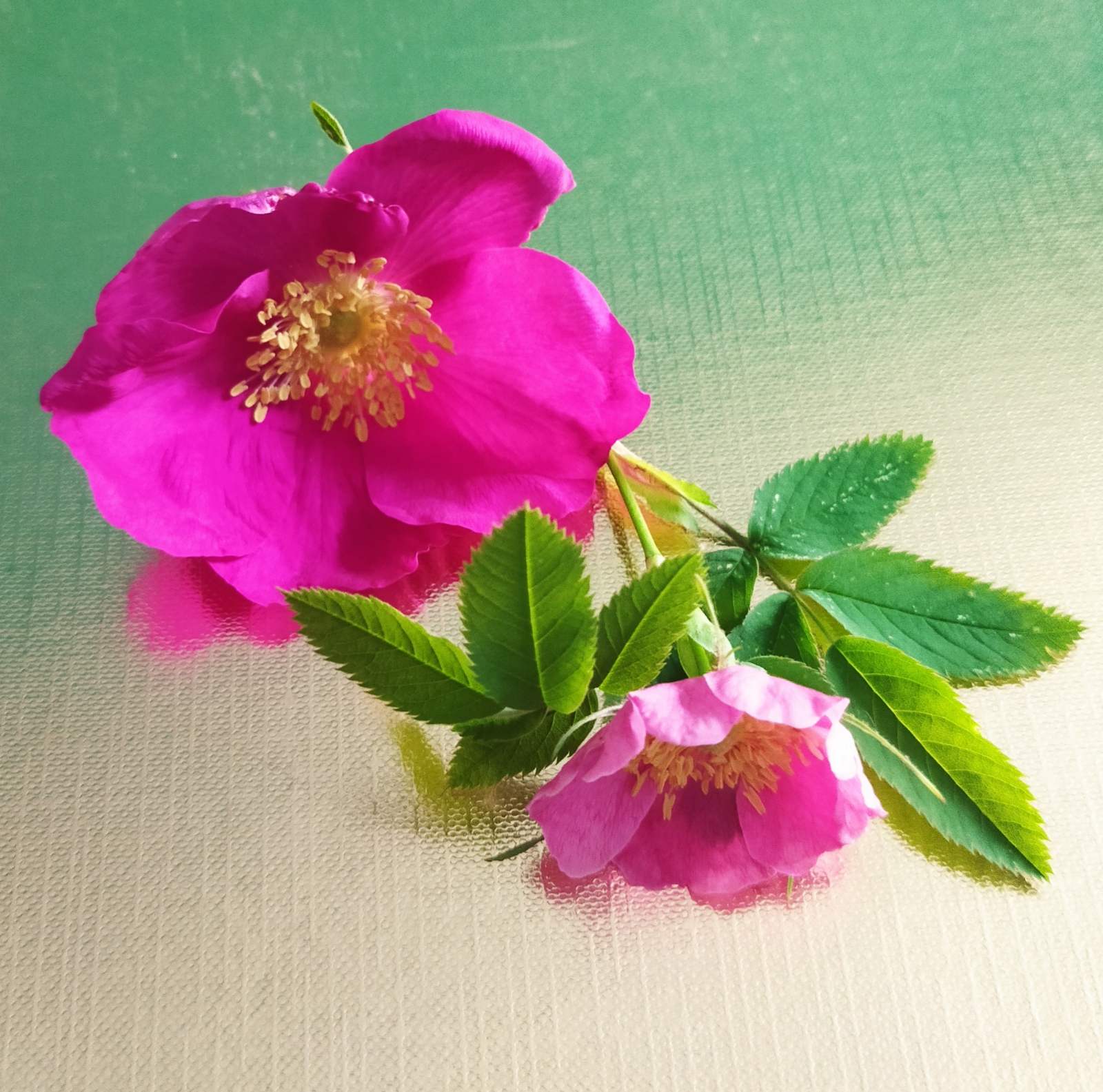 ������ ����� � �������! �������� �������) ������� ����� �� ������.