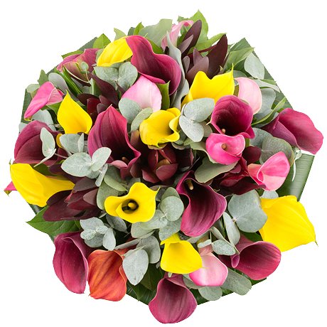 ���� �������. 10/07. ����-sale. �@������. �� ������� � ��! ����� ��� � ��� �� ������! ��������� � ������ ����� ���� �� ���������! ��� �����! ���������� �����������!