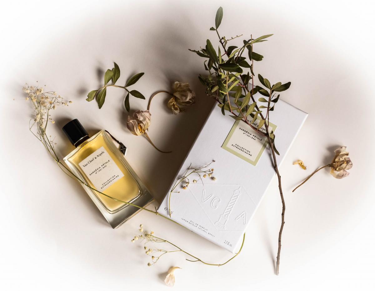  ���� �������. ����������. ������, ������ � ������������. ��� ��� ����������� ��������! ������- 23