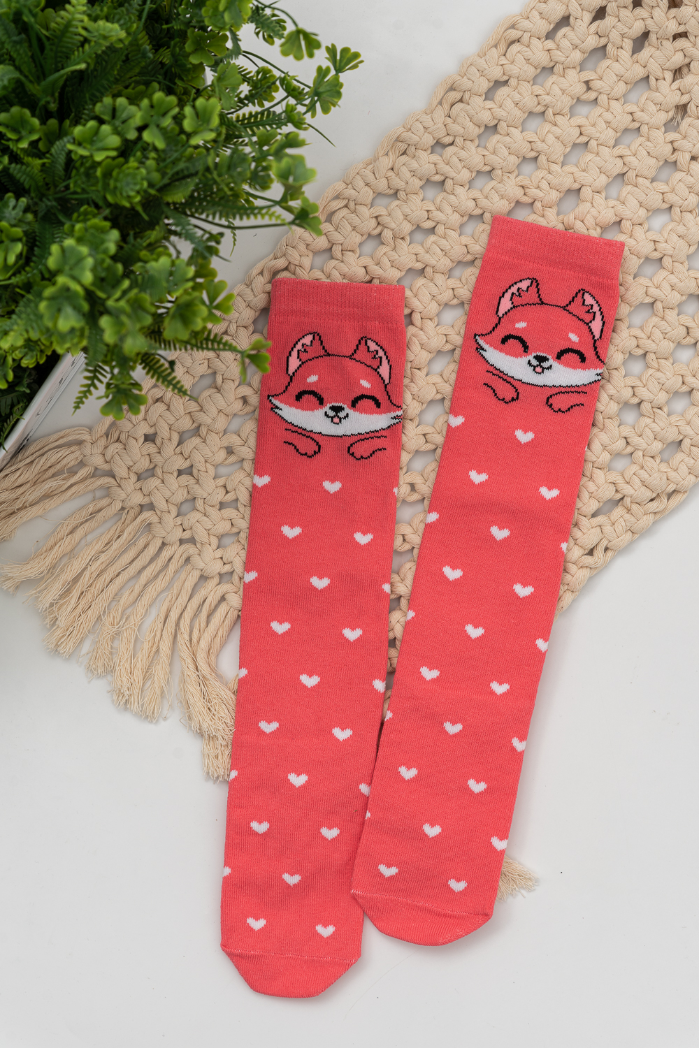 ���� �� 10.07. ��������, �����, ������ ��� ����� � ����������. ������� ����, �������� �����. �������� ��� � �������� �������, �� ����� ���� � ����!