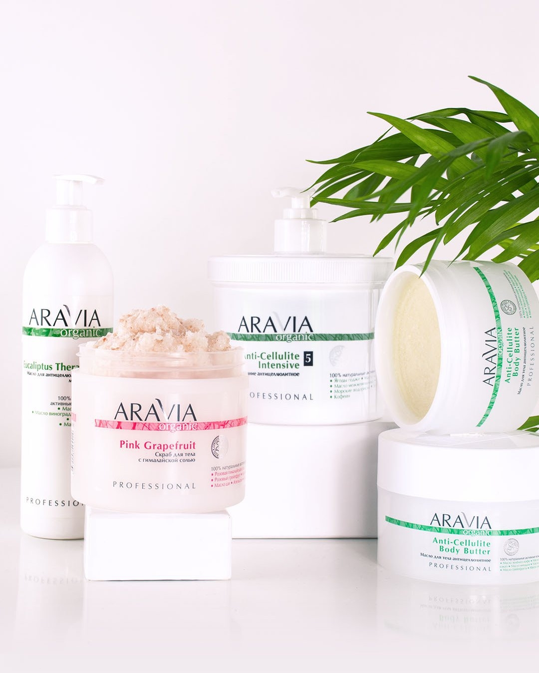 ���� �� 09.07. Aravia - �������� ����� ����������������� ����� �� ����� ����� ����! �������� ��� ��������� � ����� ����� ���������! ��������! ���������������! ��������� ��� ���� � ����! �����������! ����������� �����! �����������! ���� �� ��������! ������