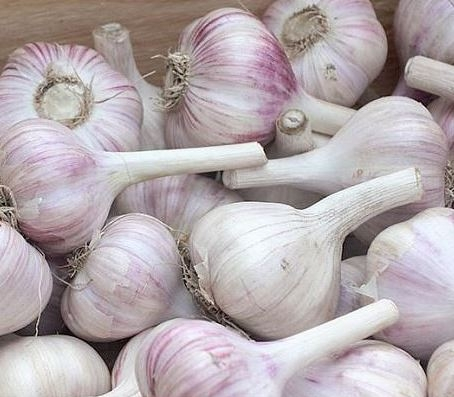 ���� �������. ������ ������ 14. (�� 13.07.).