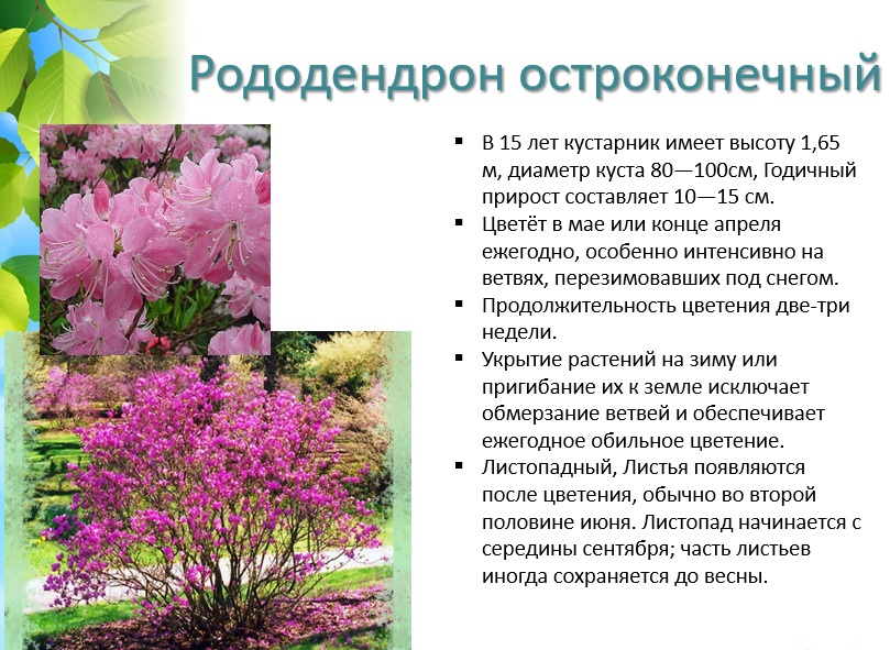 �������� � ������� ������������