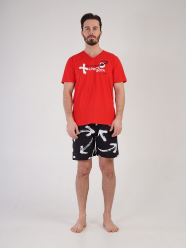 ������� ������ ����� - �����, ��������, ������, �������. ������,������,������� -55