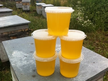 ��������� �� ������! ��� ���.�����! ������ ���� � �������! ��� �� ����� ������!-2023/1