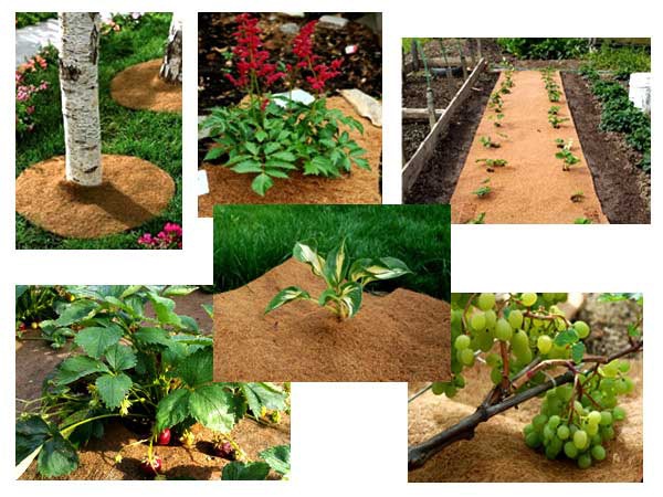 ������� �����������! ������� ���������, ����� ��� ��������, �������� �������� ��������, �ӣ ��� ���� � �������. 6/23