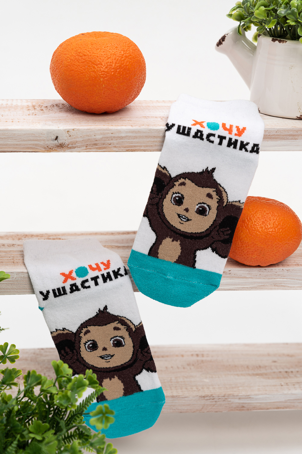 ���� �� 31.07. ����� ������, ������� ����! ����� �� �������������! �������� - �����, ���� - �������! ��� ���� �� ��������! ������� �� ������! ���� ������ ����� ���������, ������ � ������ ����������!  