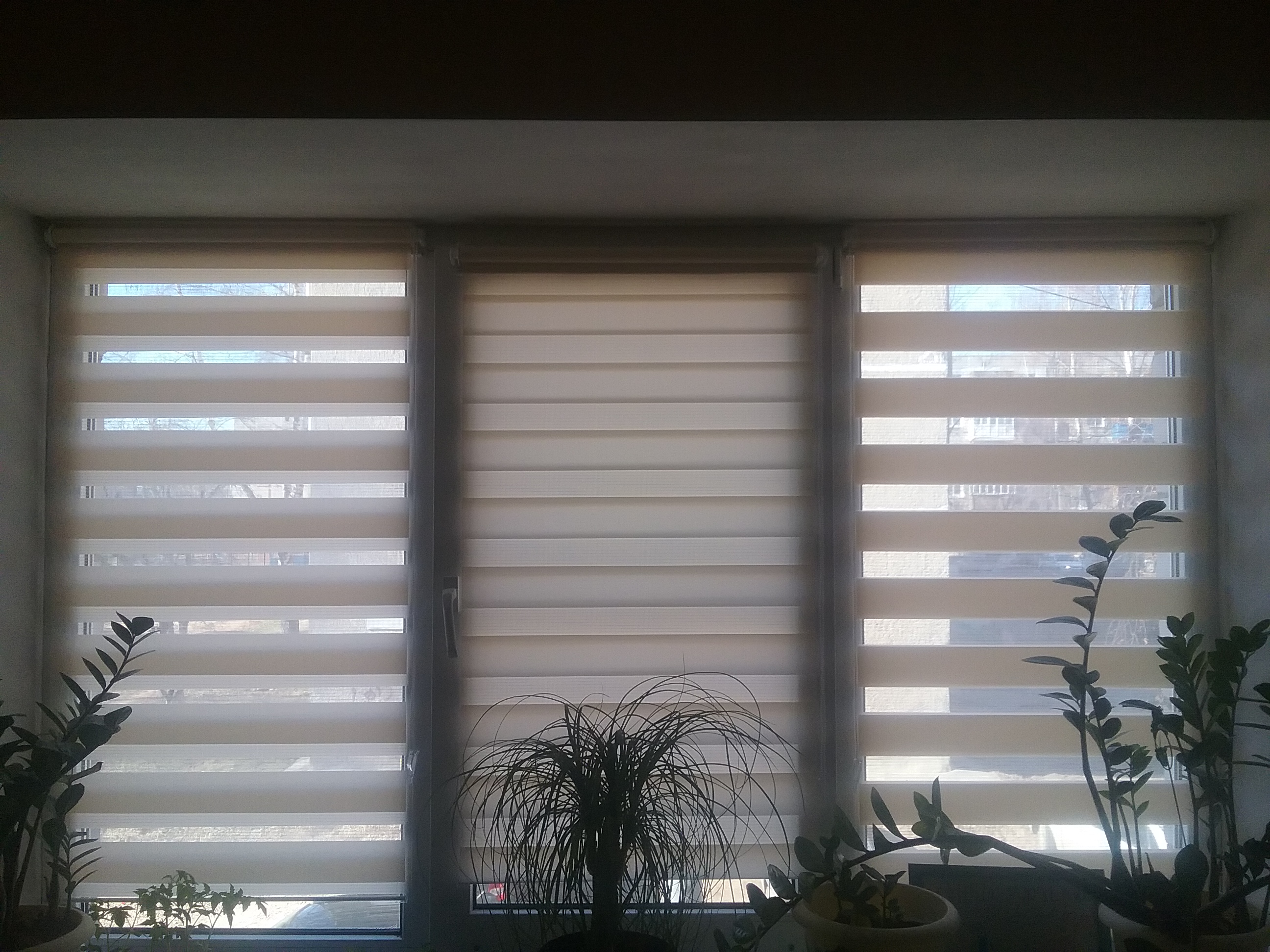 ��������� �������� ����� ����-����! ������� �������� �������� � ��������!