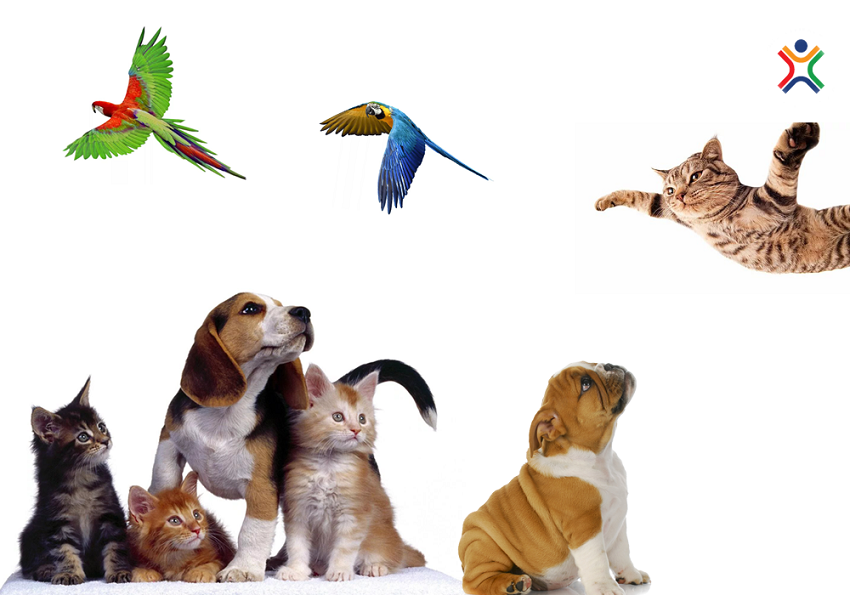 Zoo������-��������-���� �� 26.07! ��� ���� �ӣ ����� �����������!�����,��������,���������,�������� ������ ���������,������� � ��-31