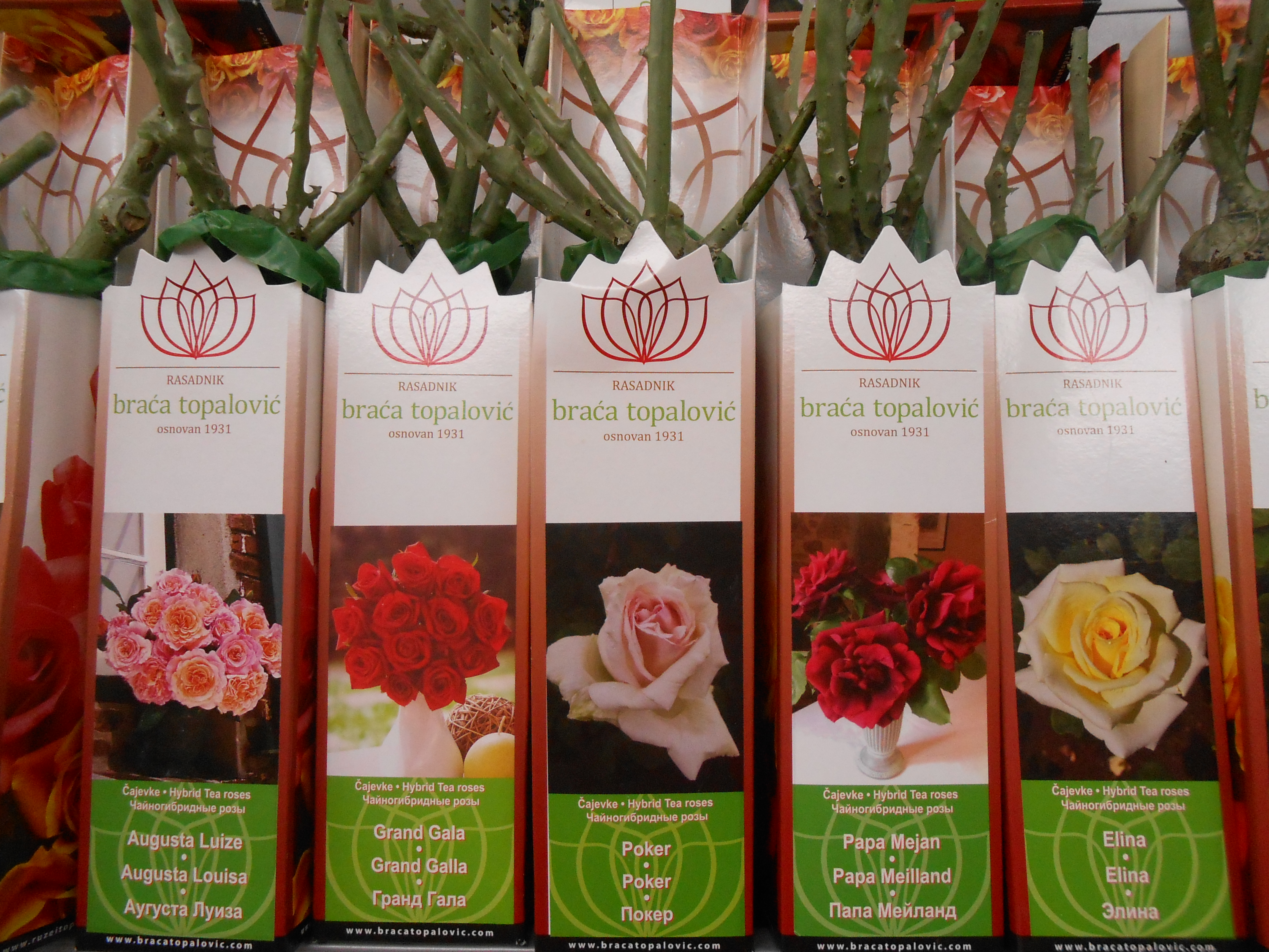 ���� ��������� (������). ��������� �� ����� 2024!