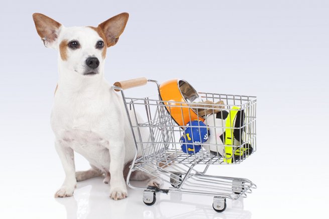 �� ���� 9.00 ����� ��������! �� ����������!