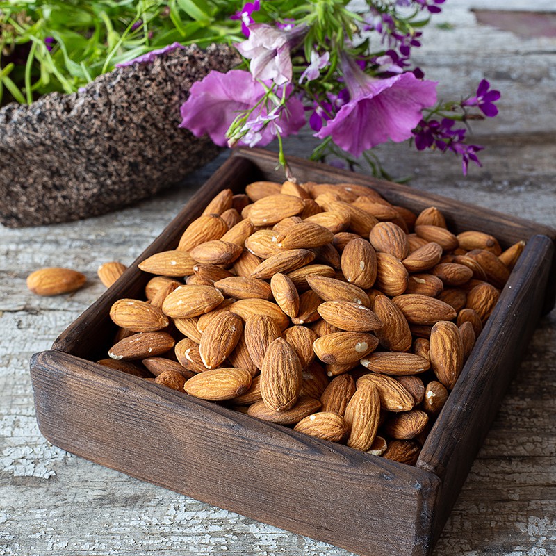 ����� � ����������. �����. ������. �������� ����. ������� �����������. �� 02/08.