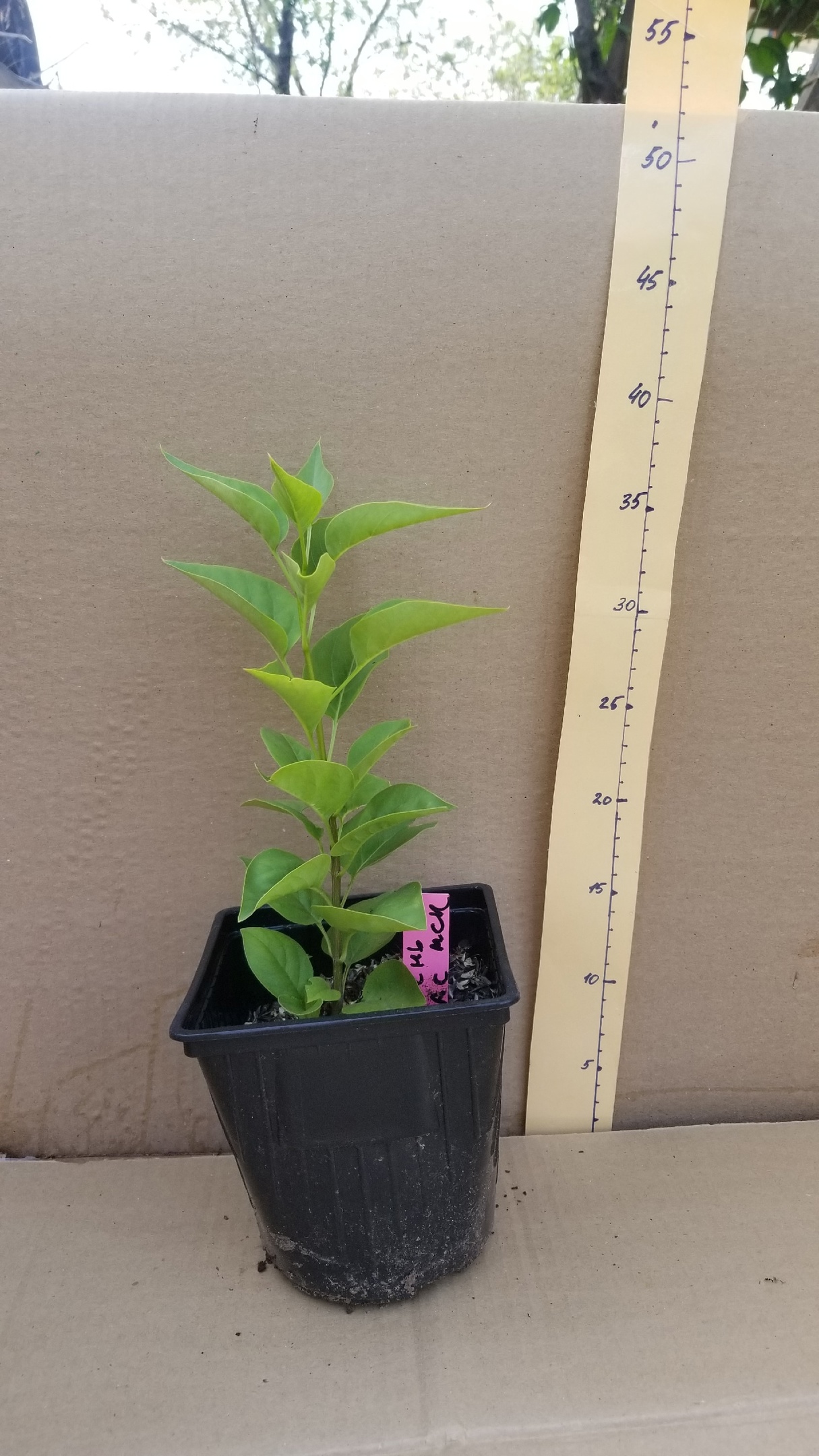 ������� �������� �� ������ ��������� ���� � ���� �����