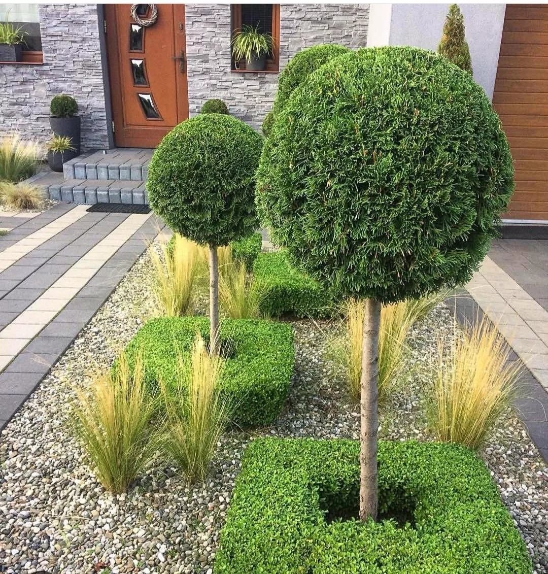 ������� ������ ������ �� ������ (�������� №1). ��������� �� ����� 2023.