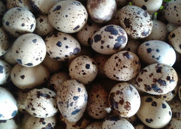 ���� �� 01.09. ����������! ������! �������! ���� �����������. ��������� �� 61