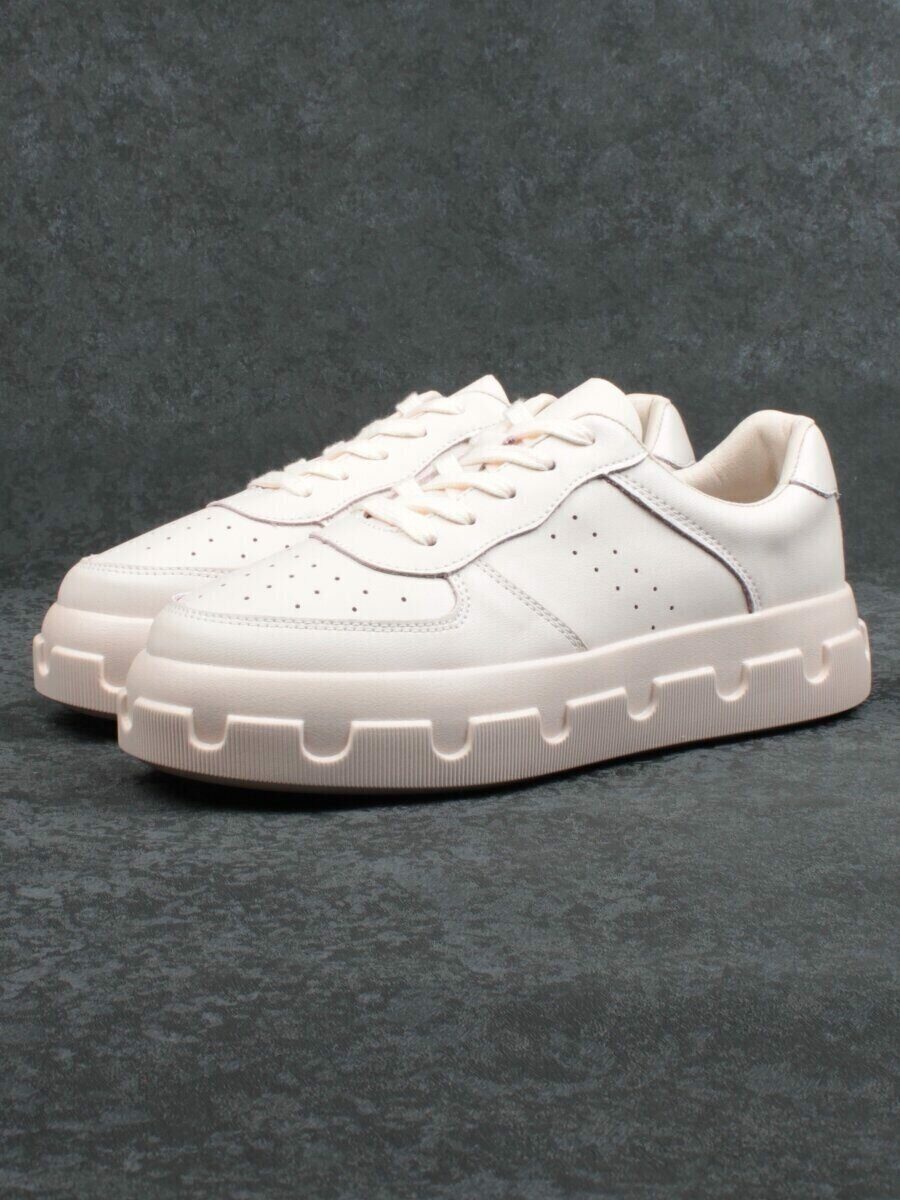 �����. ��������� �����. ������� ��������� �������. ����� ����. �������� ��������.