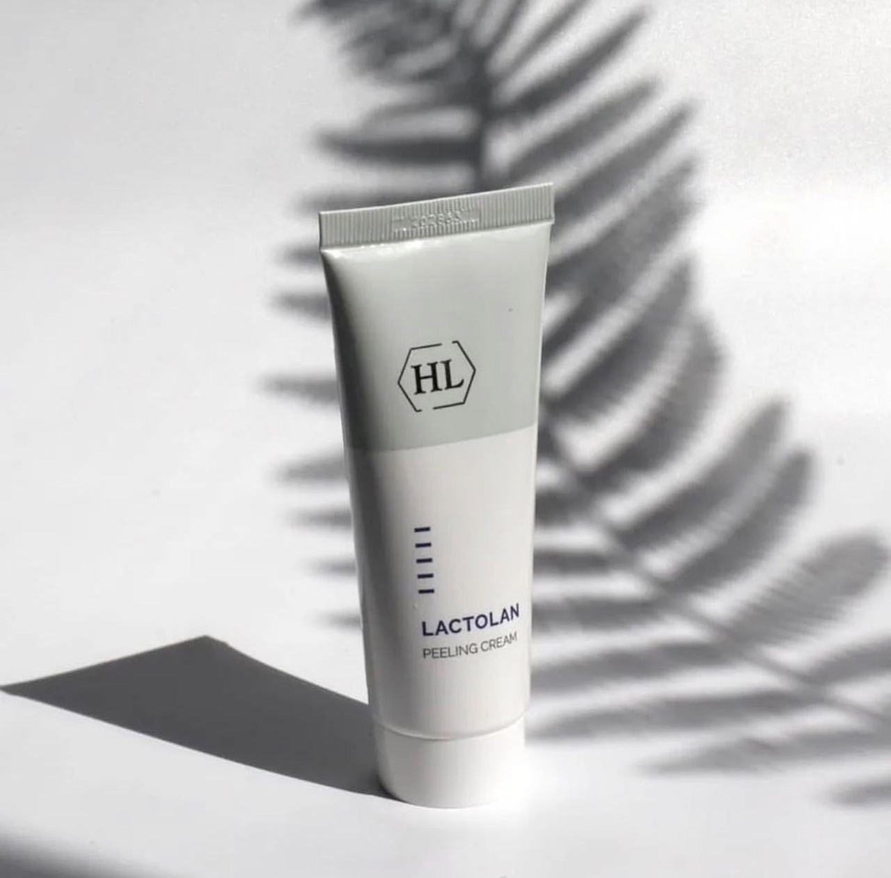 Holy Land, BCMED - ����������� �������� ������������ - 16/23.