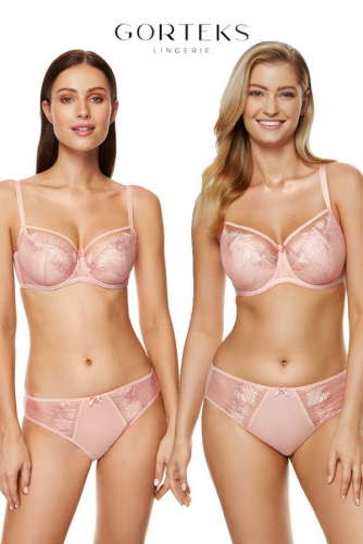 �������� ������ ����� �������� ����� Gorteks. �� ����� ��������