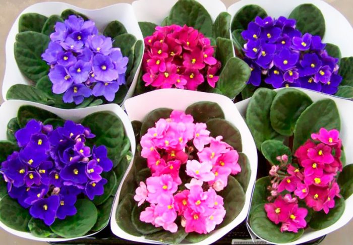 �������! �������� ������-�������� ����������� ������� ���! �������! 