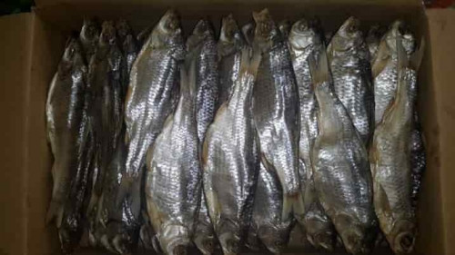  ��� ��� ���������! ����� �������! ��������� ������������ �����!