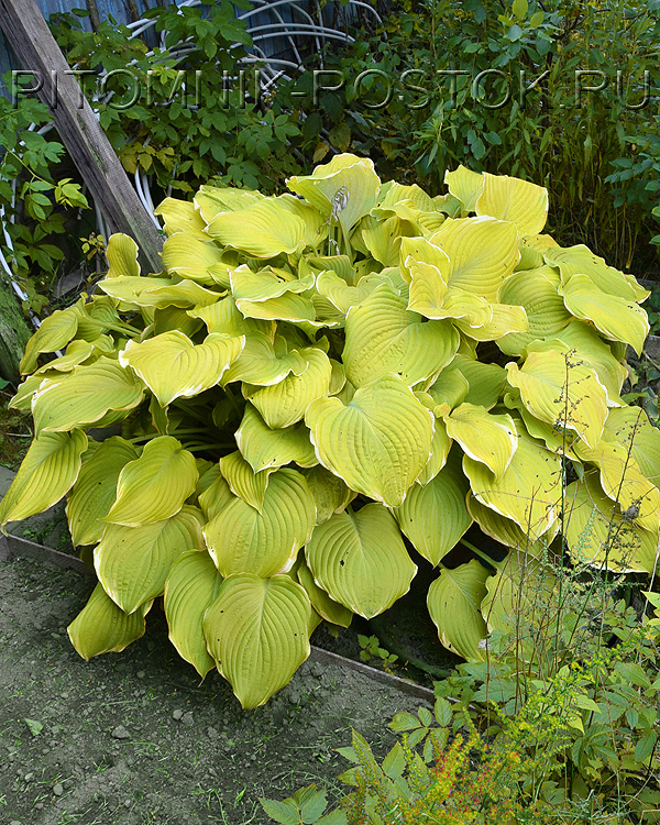 ���� �������. 23.08. ������ ��������! ������������ � ���������� ������� �������< 3_2023>