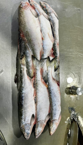 ���������!!!!� ��� �������� �������� ������� !��������!!!!���� ������ 255�!��������� ������� ������� ��������!������� ������ ���� ��������!)  