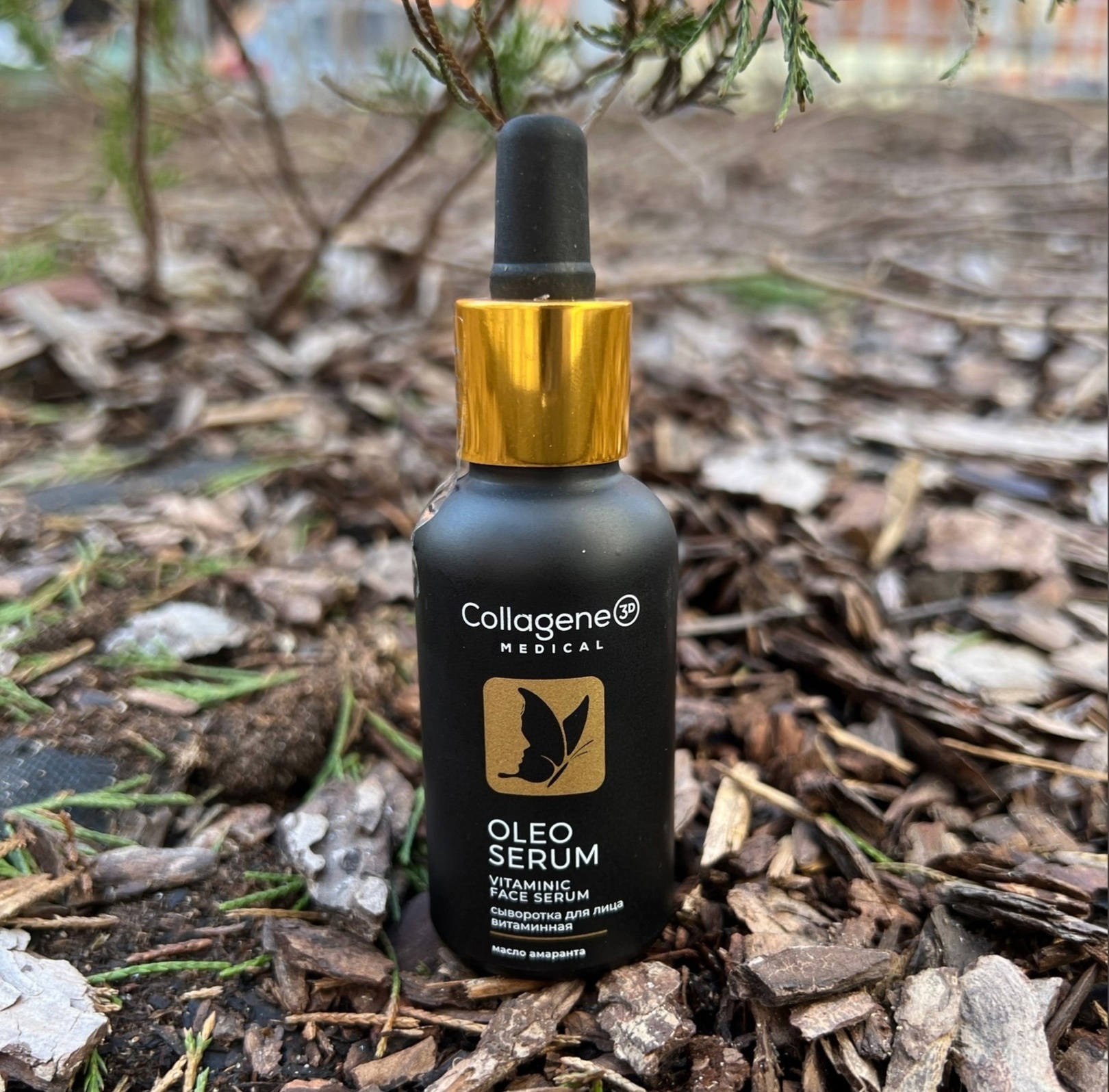 ������� �������!