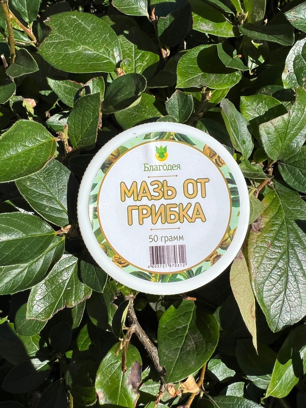 ������� �������!