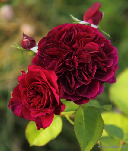 �������� ���� ������!