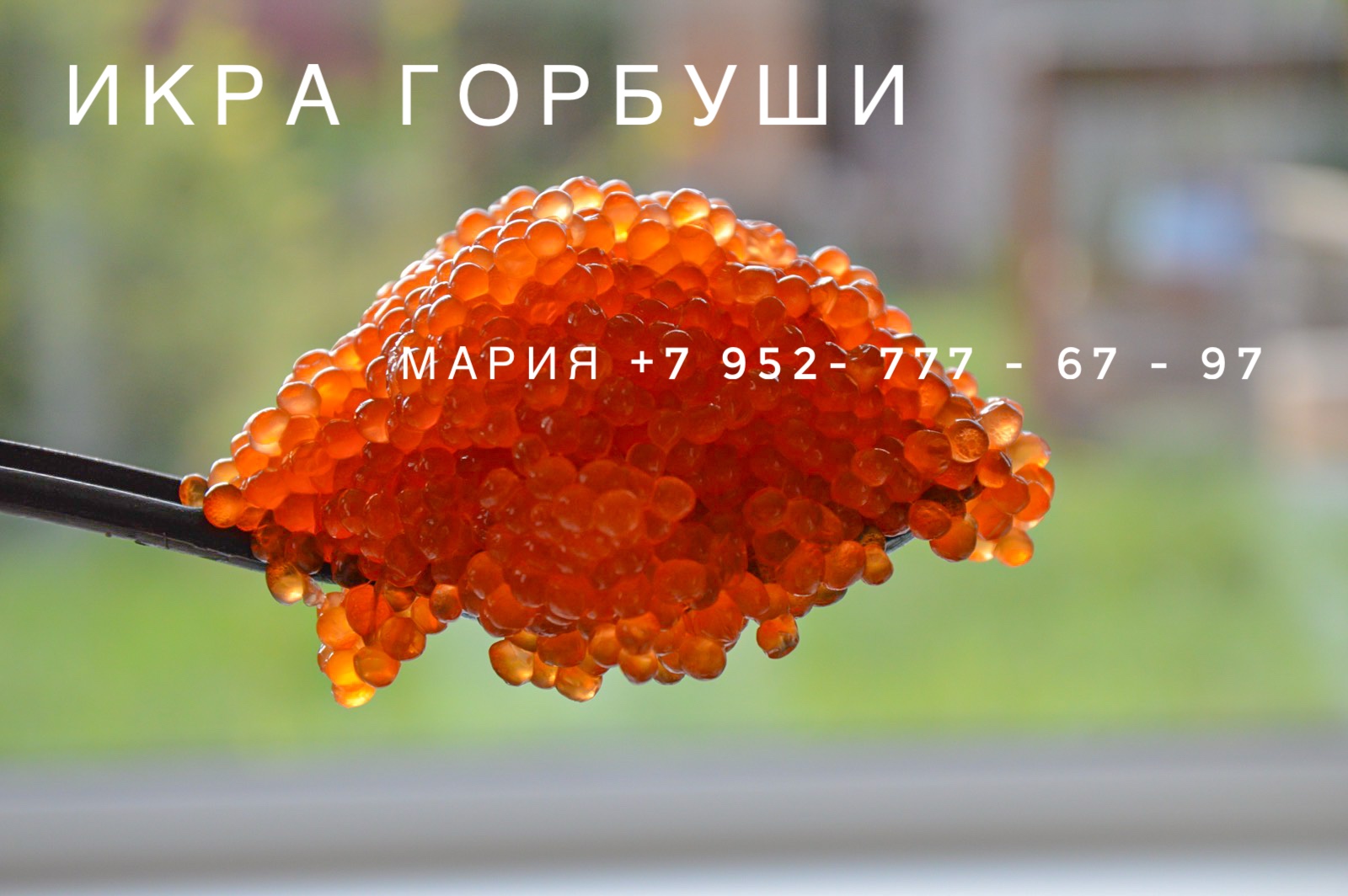 ����� ���� �� ���� � ������ ������ �� 26.08.23