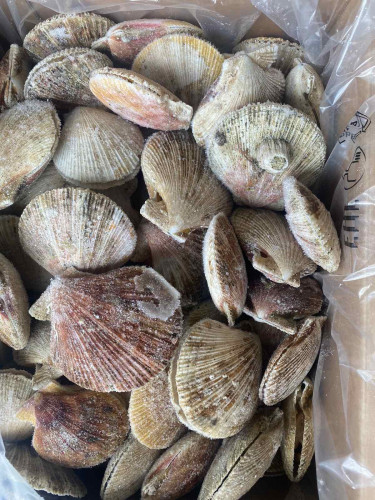 �� 23 .08 ������� 30.08 ���������� �������� �� ���������!��� ���� 10%!!!!�������� ����� ����� � ��������!