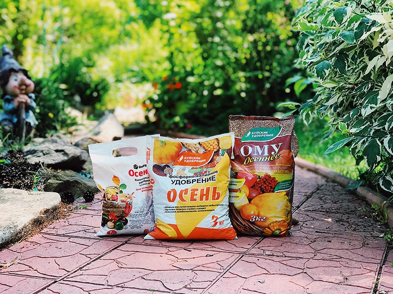 ��� ��������! �ӣ ��� �������. ���������, ����. ��������, ��������� �����, ���������� � �.�. 155