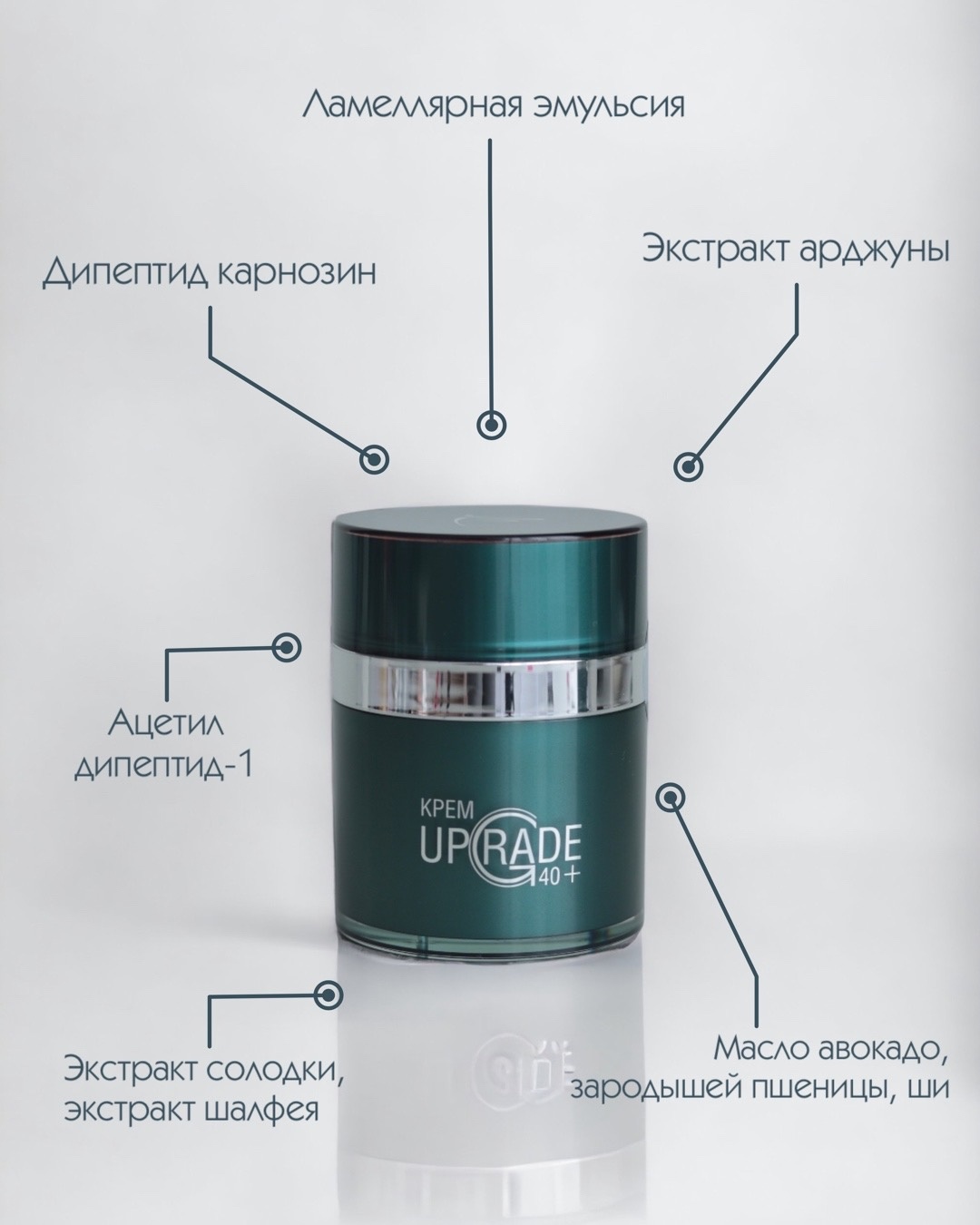 Arkadia - ������� ������������ ������� � ������� ����� - 17/23.