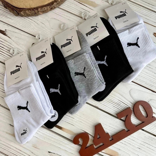 ���� . ����� ������� ����������