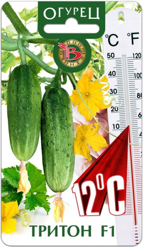 ����������-40. ������ ��� ������ ������