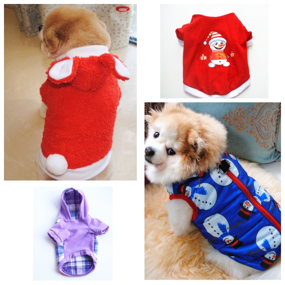 ���� �� 04.09.2023�. 🐕🐕🐕����������! �������� ��������! ������ ��� �������� �� 225���! - 3