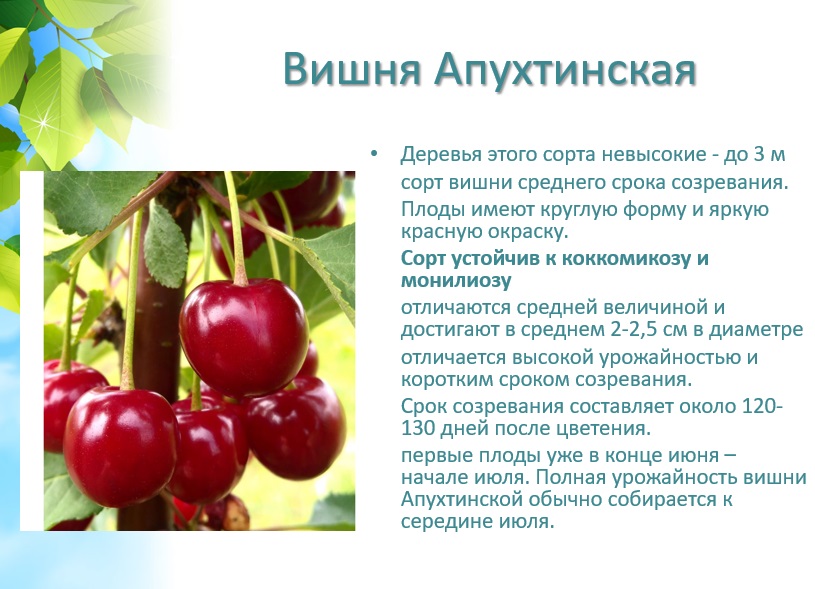 � ������� ����� - ��� ����� ��������� � �����������