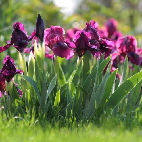 ���� �������. 31.08. ������ � ��������! ������ ��������! �����, ������������ � ���������� ������� ������� ��������