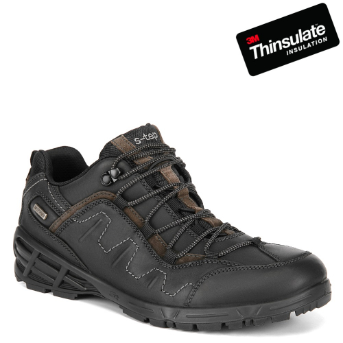 S-TEP. ����� �� ���������� ECCO