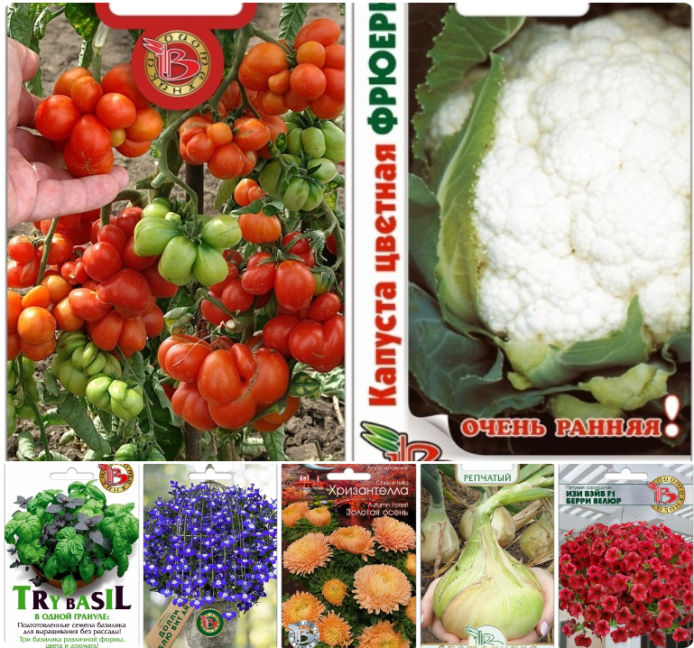 ������ �� ���������� ����������� ��������. ������� ��������� ��� ����� ������! ���� ������ � 9-00!