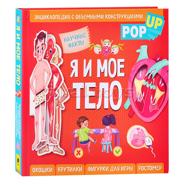 ����� �������