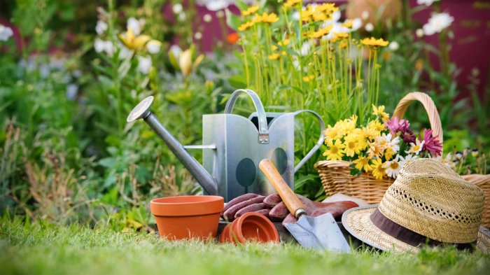 ��� ��������! �ӣ ��� �������. ���������, ����. ��������, ��������� �����, ���������� � �.�. 156