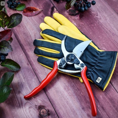 ������� ���������� �� ������ ������� ������ Dewit, Offner, Berger. �������� Gold Leaf. 10/23